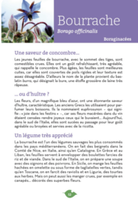 Capture d’écran 2025-03-26 à 15.42.02