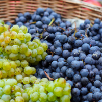 raisins dans un panier