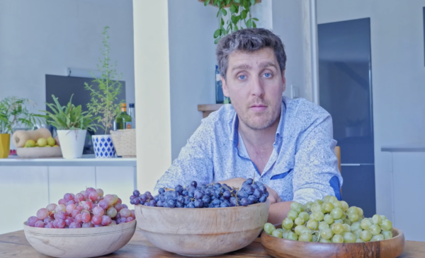 Fabien Moine devant des saladiers de différentes variétés de raisins