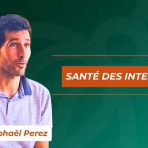 Formation Santé des intestins avec Raphael Perez