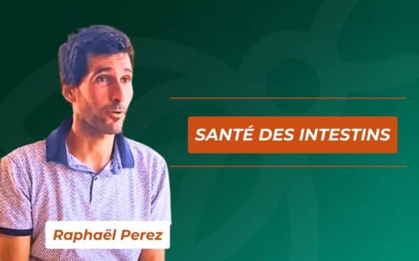 Formation Santé des intestins avec Raphael Perez