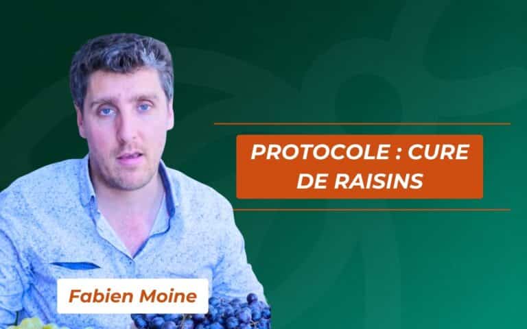 Protocole cure de raisin avec Fabien Moine