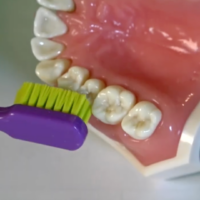 Dents + brosse à dents