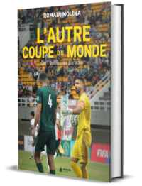 autre coupe du monde 3d ok