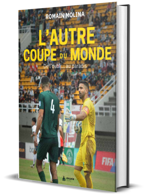 autre coupe du monde 3d ok